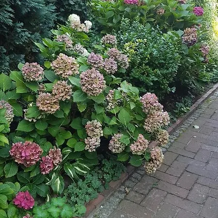 Stylisches Garden Weyhe