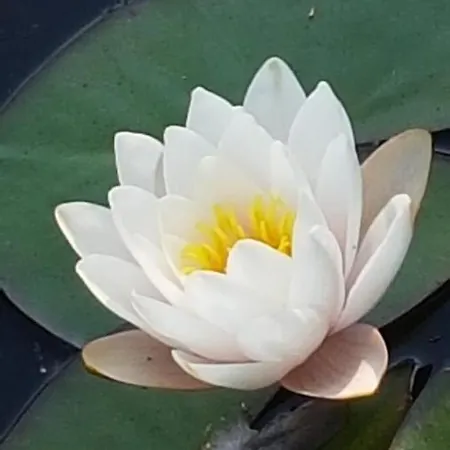 Stylisches Garden Appartamento Weyhe