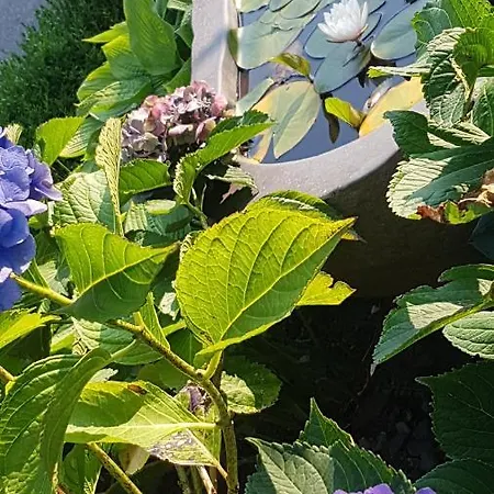 Stylisches Garden