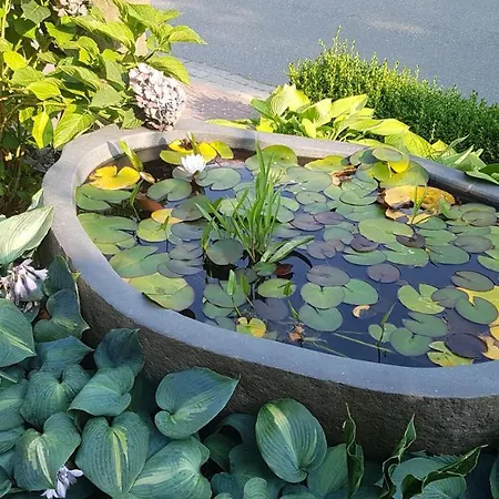 Stylisches Garden Apartman